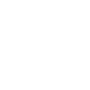 Vision